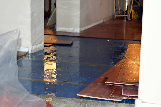 Professional Sewage Cleanup technician working in Flushing, MI